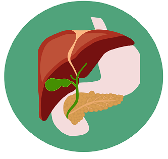 Descripción del ícono